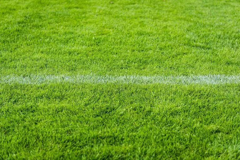 Gränsdragning i gräset på en fotbollsplan