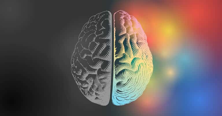 Den intuitiva högra hjärnhalvan och den kognitiva vänstra hjärnhalvan